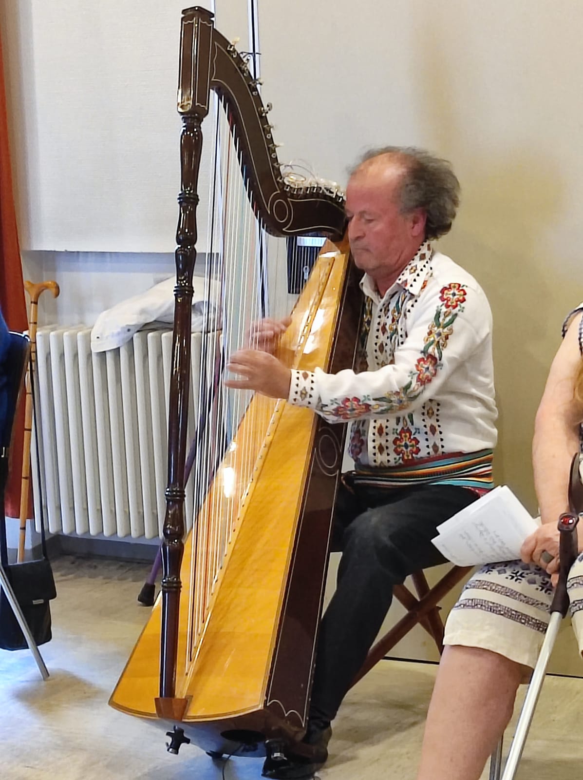 Die paraguayanische Harfe